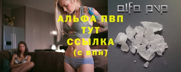 apvp Алзамай