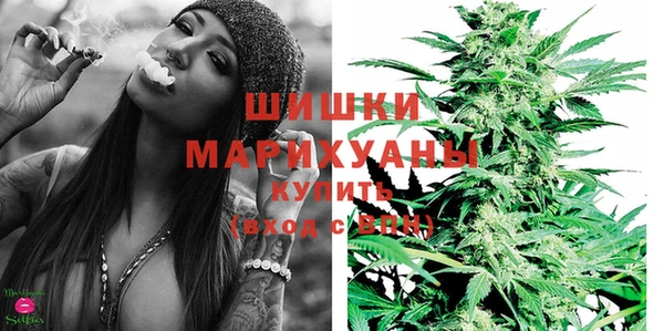 apvp Алзамай