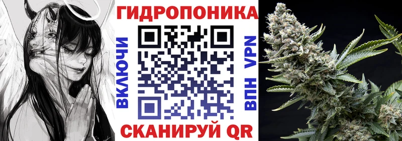 купить наркоту  Нея  Шишки марихуана семена 